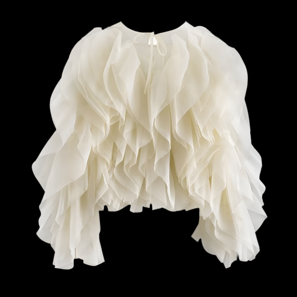 Creating Waves ruffled pullover blouse